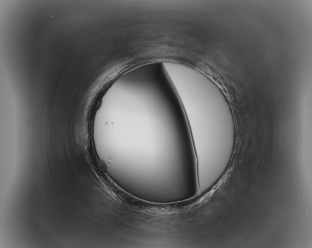 X0000088390245200705220806