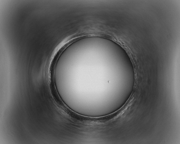 X0000088390246200705220806