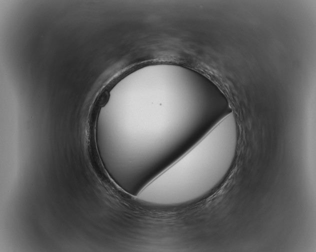 X0000088390247200705220807