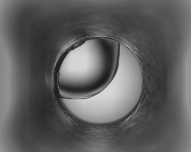 X0000088390248200705220807