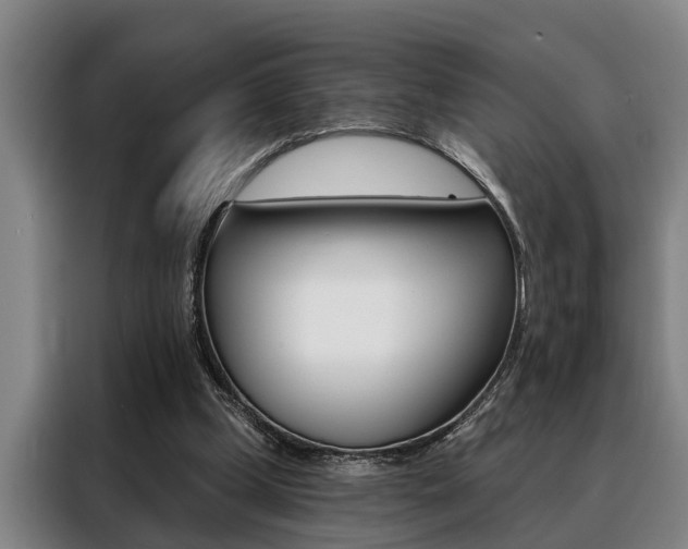 X0000088390249200705220807