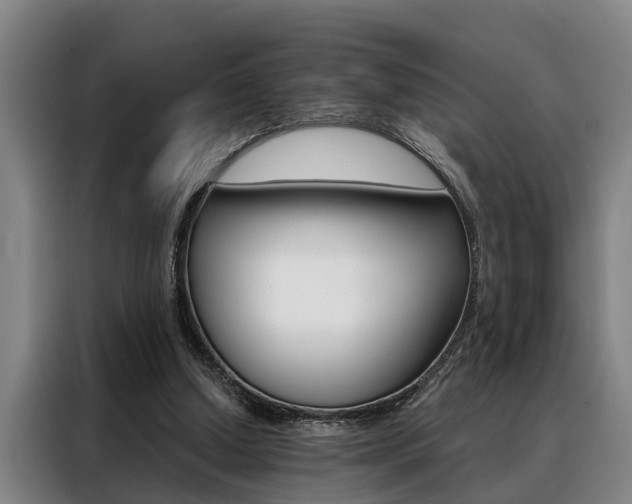 X0000088390250200705220807