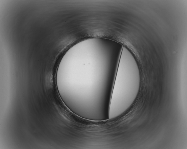 X0000088390251200705220807