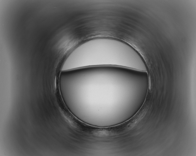 X0000088390253200705220807