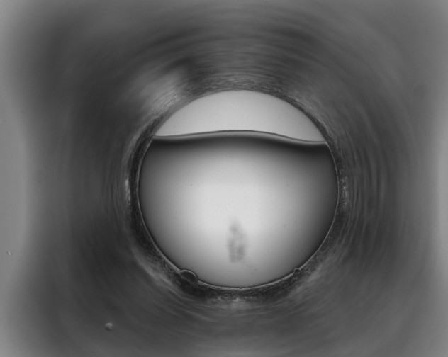 X0000088390254200705220807