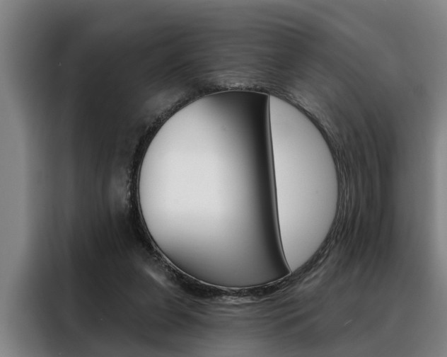 X0000088390255200705220807