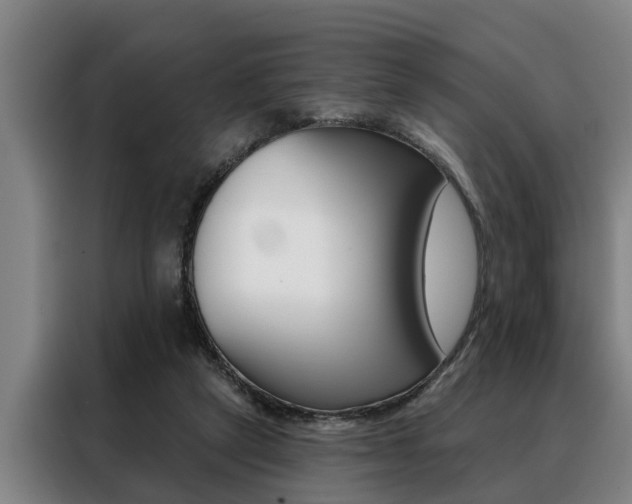 X0000088390257200705220807