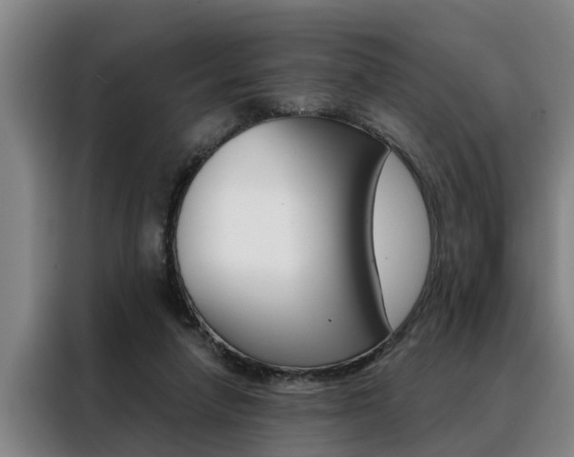 X0000088390258200705220807