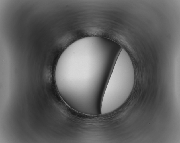 X0000088390259200705220807