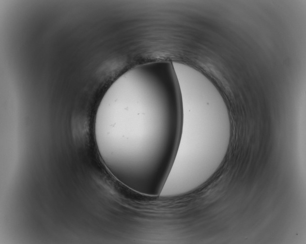 X0000088390260200705220807