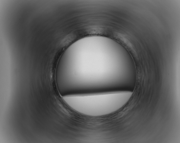 X0000088390261200705220807