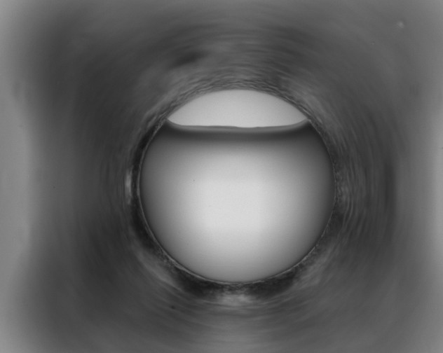 X0000088390262200705220807