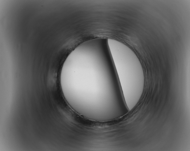 X0000088390263200705220807