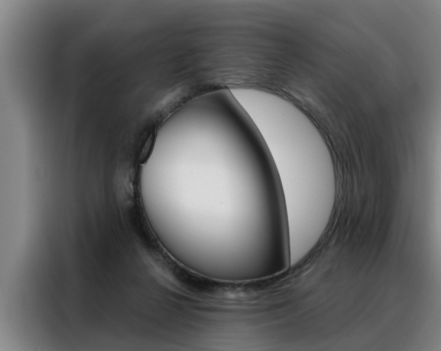 X0000088390264200705220807