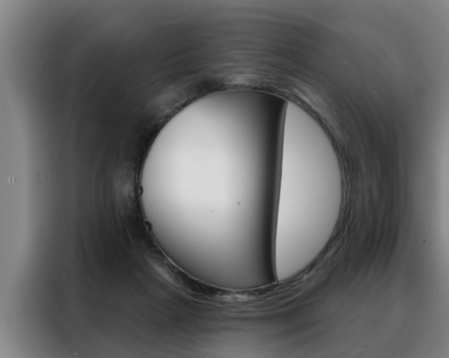 X0000088390265200705220807