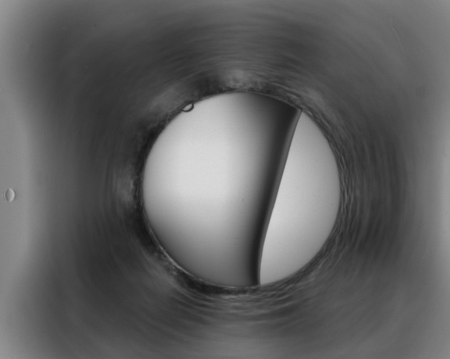 X0000088390266200705220807