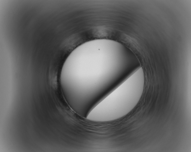 X0000088390267200705220807