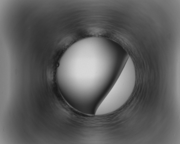 X0000088390268200705220807