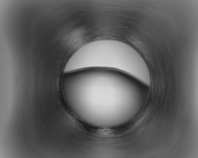 X0000088390269200705220807