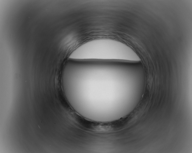 X0000088390270200705220807