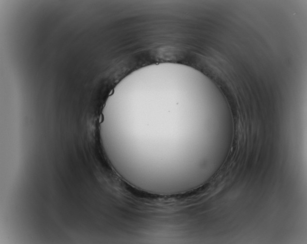 X0000088390271200705220807