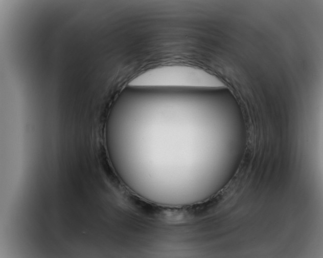 X0000088390272200705220807