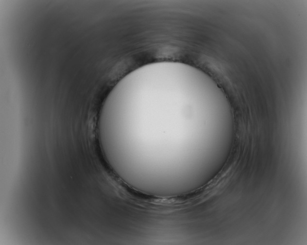 X0000088390273200705220807