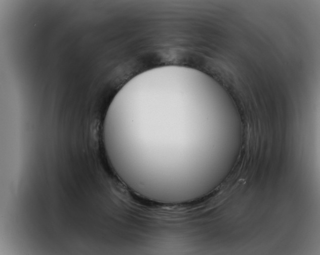 X0000088390275200705220807