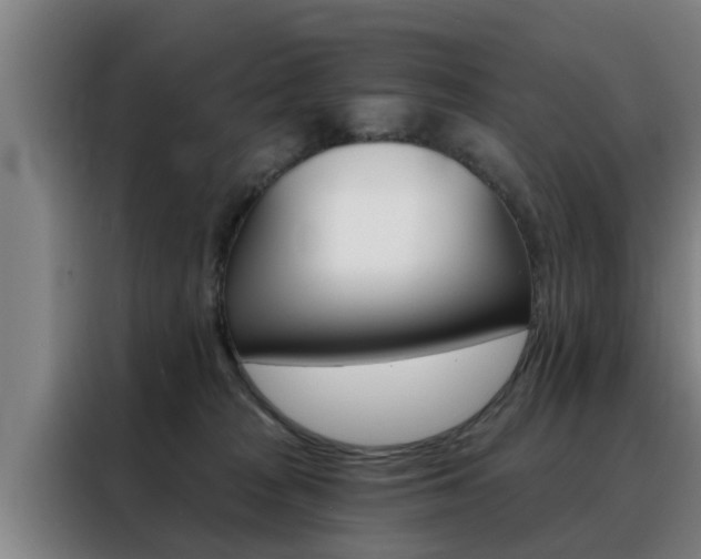 X0000088390277200705220807