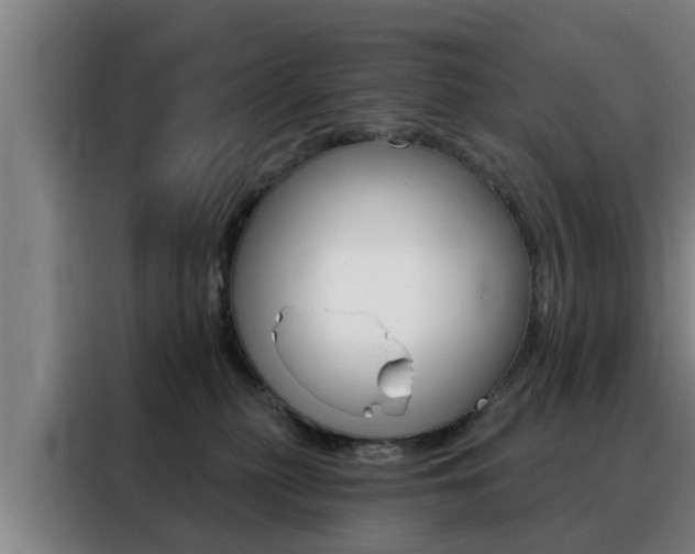 X0000088390279200705220807