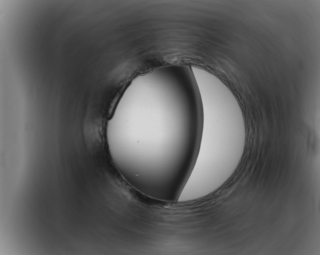 X0000088390280200705220807