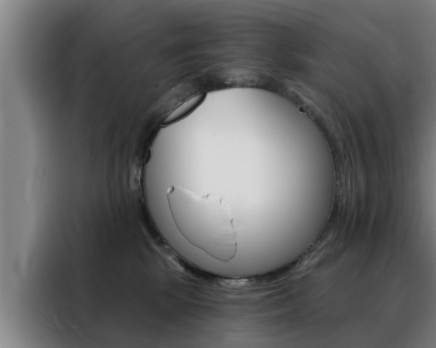 X0000088390281200705220807