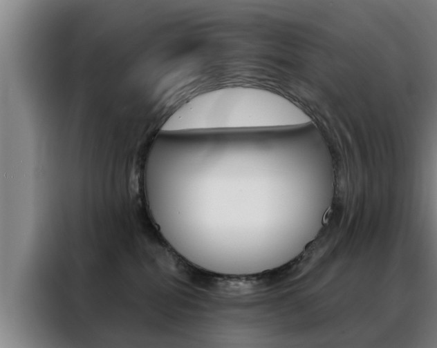 X0000088390282200705220807