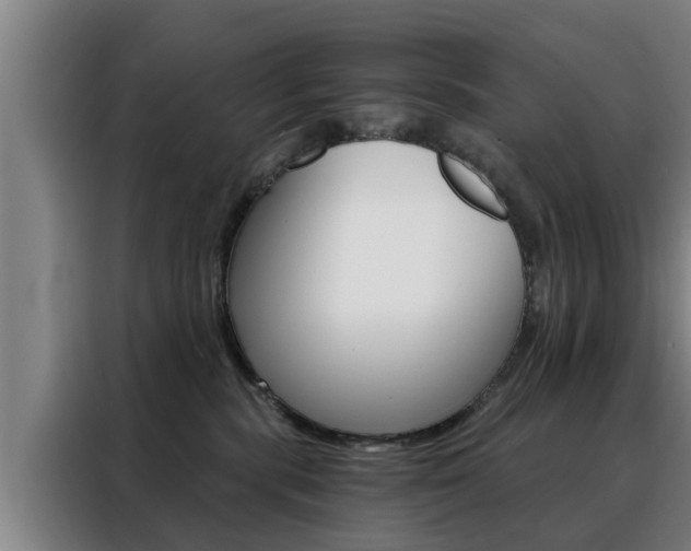 X0000088390283200705220807