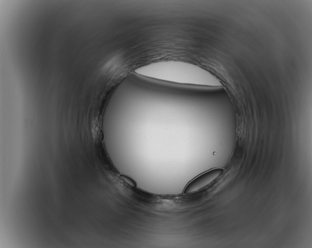 X0000088390285200705220807