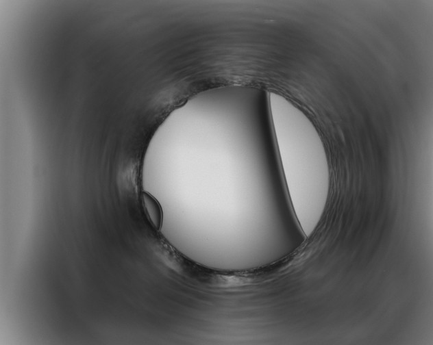 X0000088390286200705220807