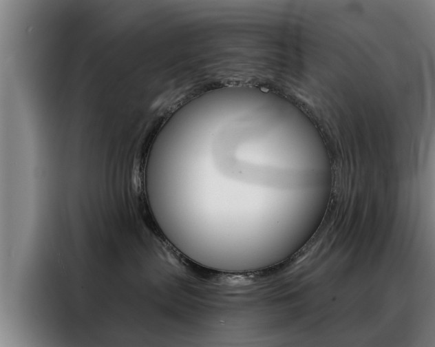 X0000088390287200705220807