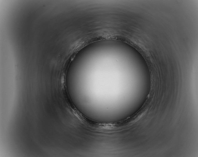 X0000088390288200705220807