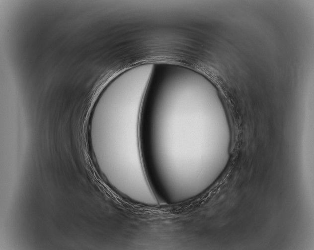 X0000088390289200705220806