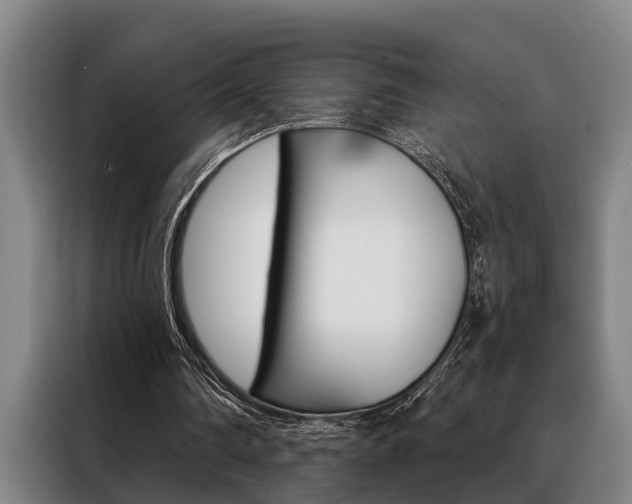 X0000088390290200705220806