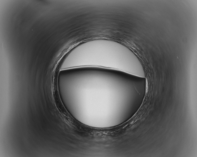 X0000088390291200705220806