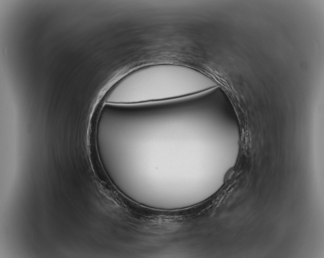 X0000088390292200705220806