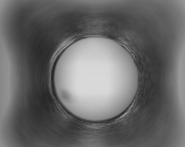 X0000088390293200705220806