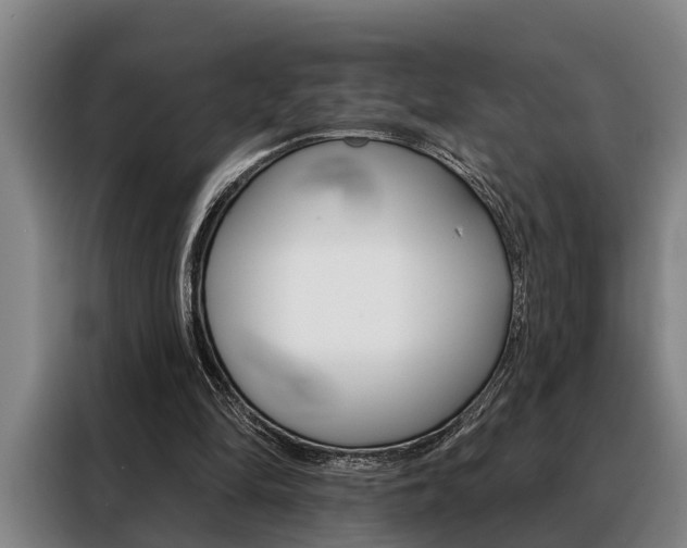 X0000088390294200705220806