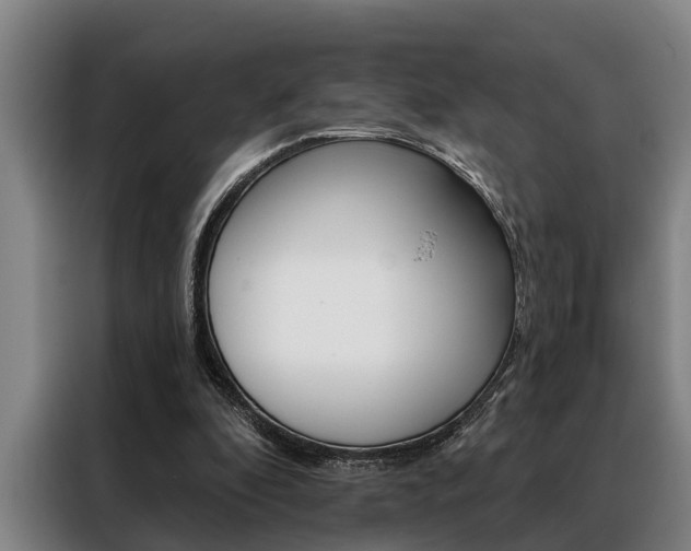 X0000088390296200705220806