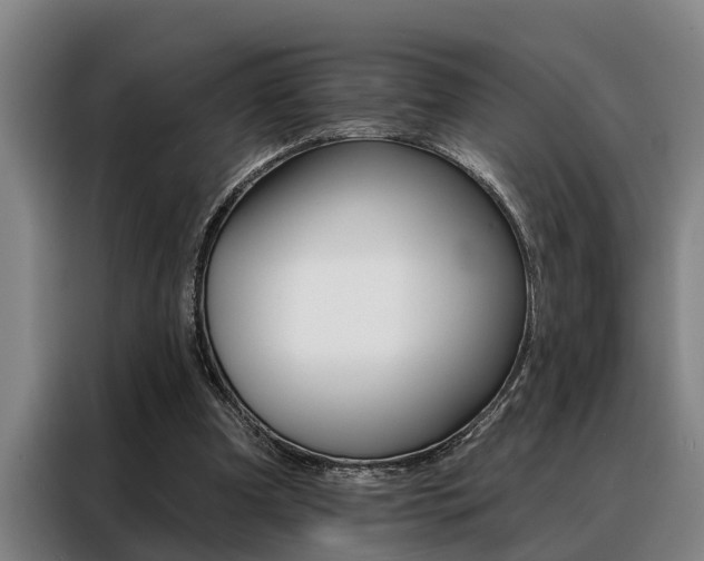 X0000088390297200705220806