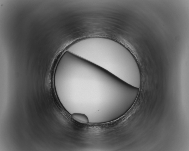 X0000088390298200705220806