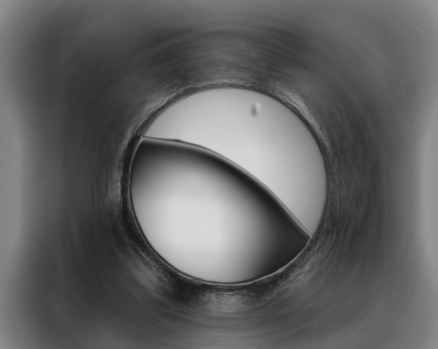 X0000088390299200705220806