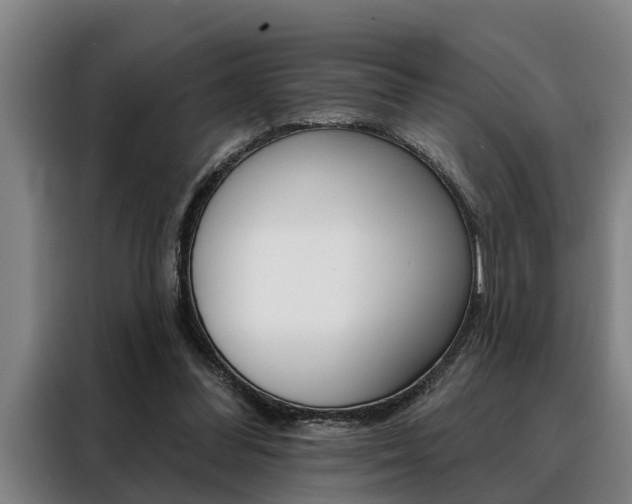 X0000088390300200705220806