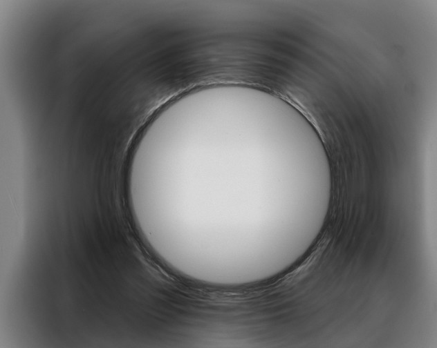 X0000088390301200705220806